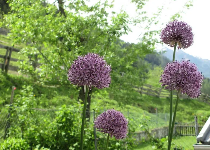 Haus Hubert * Arzl im Pitztal