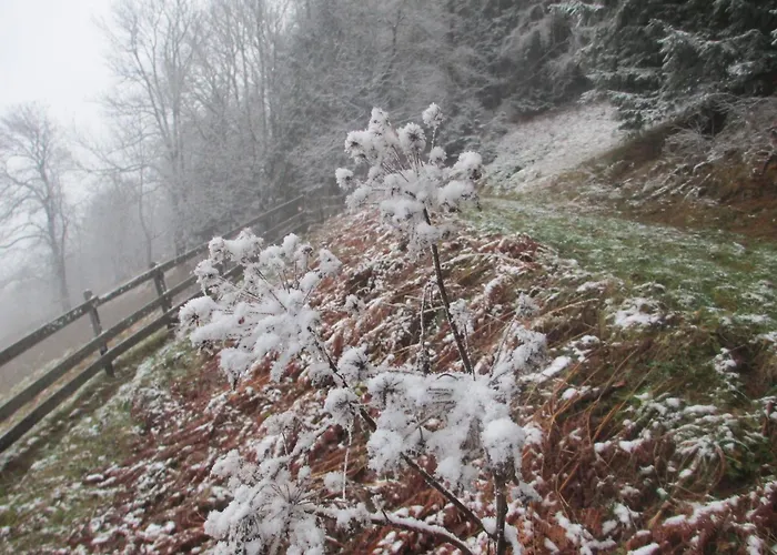 Haus Hubert Daire Arzl im Pitztal