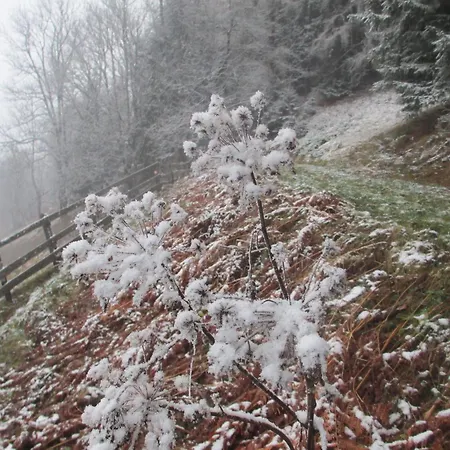Haus Hubert Apartman Arzl im Pitztal