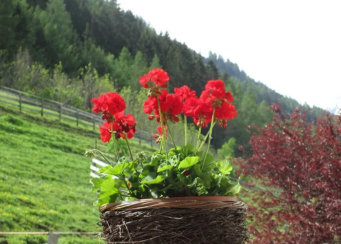 Apartman Haus Hubert *