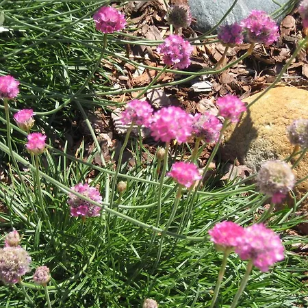 Haus Hubert Apartamento