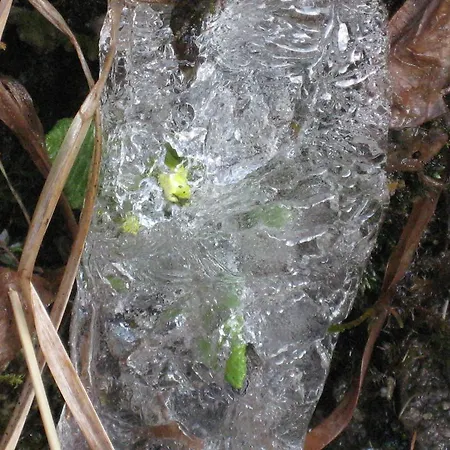 Apartamento Haus Hubert