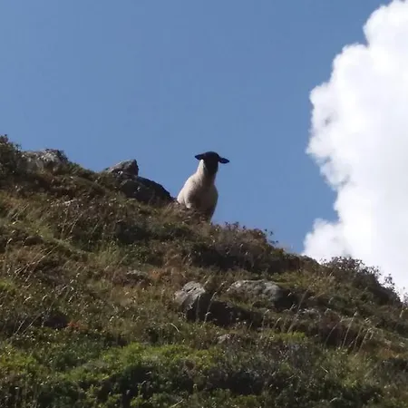 Apartamento Haus Hubert