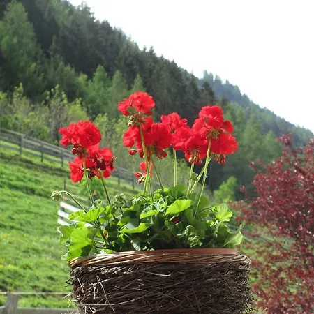 Apartamento Haus Hubert *